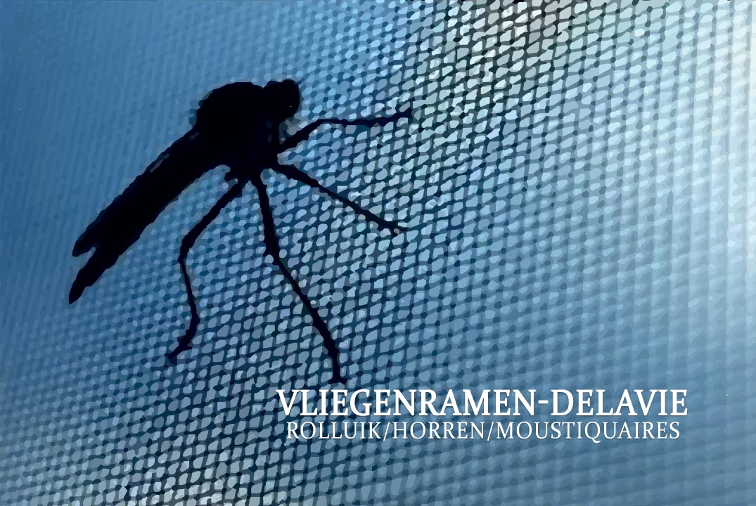 Vliegenramen Delavie